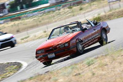 media/Oct-08-2023-Extreme Speed (Sun) [[05af469d3b]]/Parade laps/